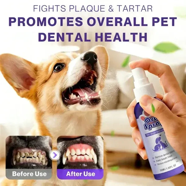 Teeth Cleaning Spray for Pets